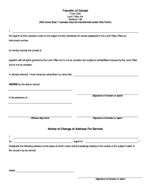 Transfer of Caveat Form 28A