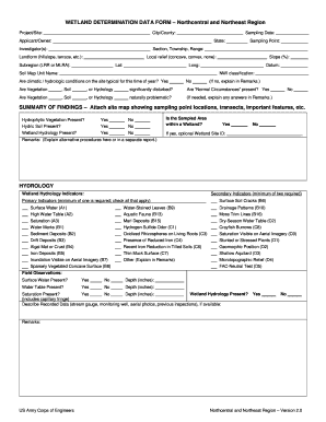 Wetland Determination Data Form