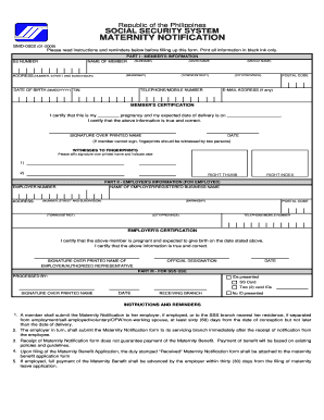 Philippines Maternity Notification Form