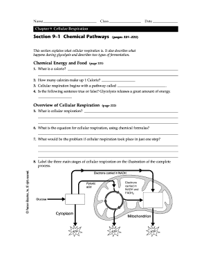 Cellular Respiration Worksheet