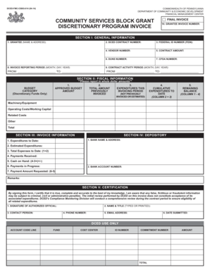 DISCRETIONARY PROGRAM INVOICE