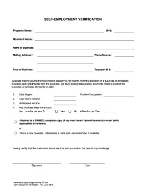 Self-Employment Verification Form