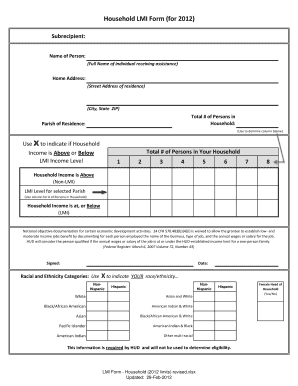 Household LMI Form