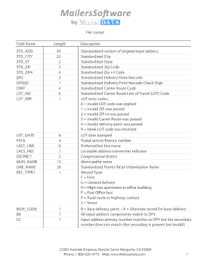 Form 49b - Dsf file layout0603 2 - Melissa Data