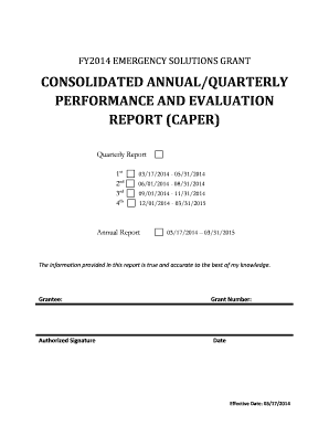 FY2014 Emergency Solutions Grant Performance Report