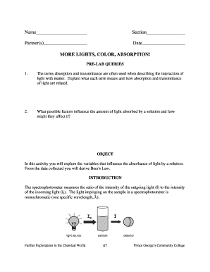 Chemistry Lab Report Template