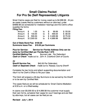 Florida Small Claims Packet