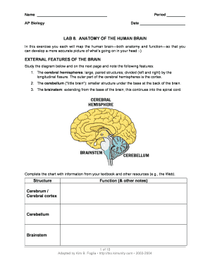 Form preview picture