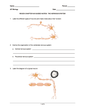 Raven (7th) Guided Notes Chapter 45: The ... - Explore Biology