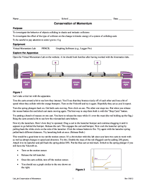 Conservation of Momentum Lab