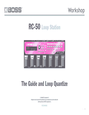 Application going to home - RC50WS05The Guide and Loop Quantize BOSS RC-50 Loop Station