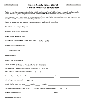 Criminal Conviction Supplement