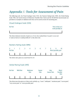Appendix E: Tools for Assessment of Pain