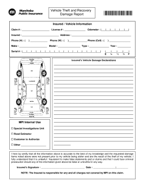 Vehicle Theft and Recovery Damage Report