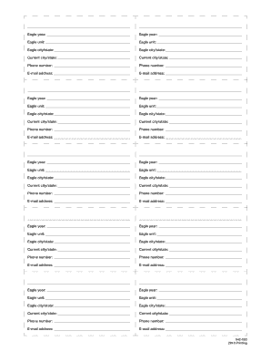 NESA Eagle Scout Registration Form