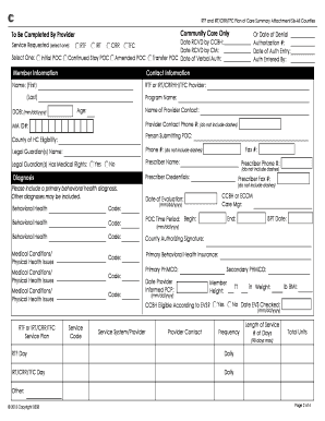 RTF and IRT/CRR/TFC Plan of Care Summary