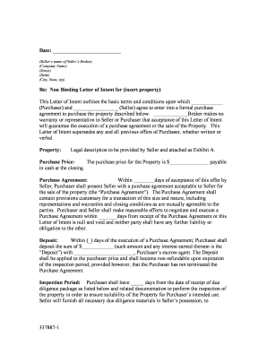 Non Binding Letter of Intent for Property Purchase