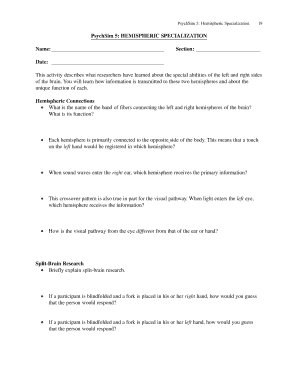 PsychSim 5 Hemispheric Specialization Form