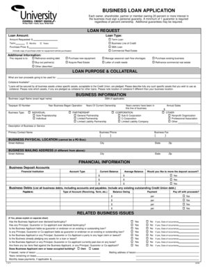 Business Loan Application Form