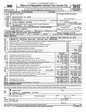 IRS Form 990 2013
