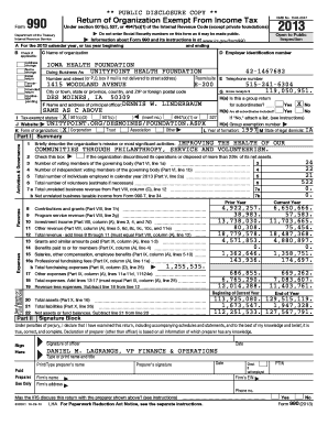Form 990 2013