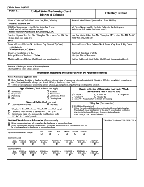 US Bankruptcy Court Voluntary Petition Form B1