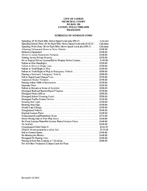 Texas Traffic Violation Summons