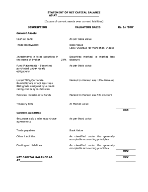 Statement of Net Capital Balance