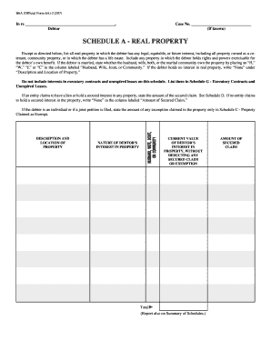 Official Form 6A - Real Property Schedule