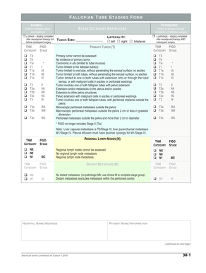 Fallopian Tube Staging Form