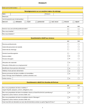Questionnaire relatif aux revenus et à la situation de fortune
