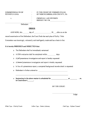 Pennsylvania Guilty Plea Form