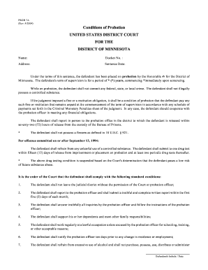 US Probation Conditions Form
