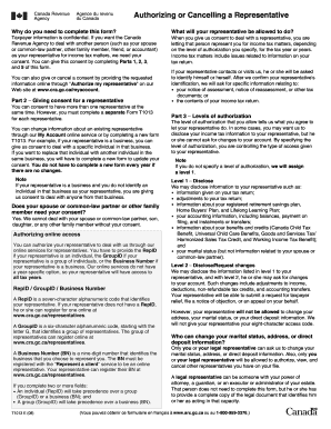 Canada Revenue Agency Representative Authorization Form