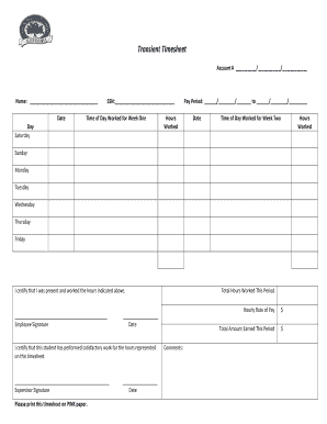 Transient Timesheet