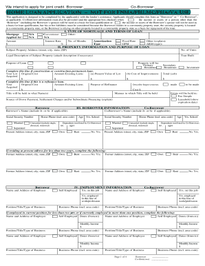 Citizens State Bank Home Loan Application