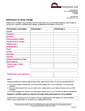 Form preview picture