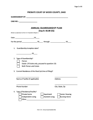 Annual Guardianship Plan Form