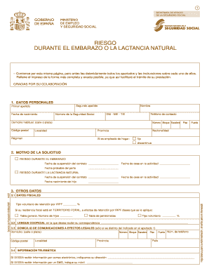 Formulario de solicitud de prestación de riesgo durante el embarazo o la lactancia natural