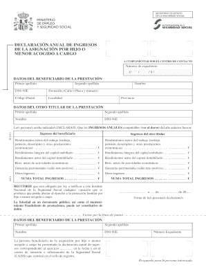 Declaración Anual de Ingresos de la Asignación por Hijo o Menor Acogido a Cargo