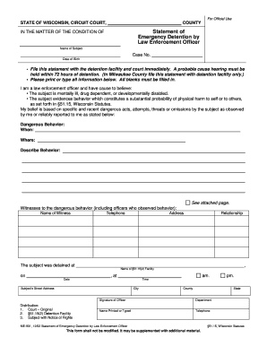 Wisconsin Emergency Detention Statement