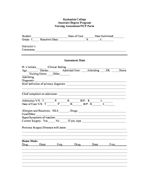 Nursing Assessment Form