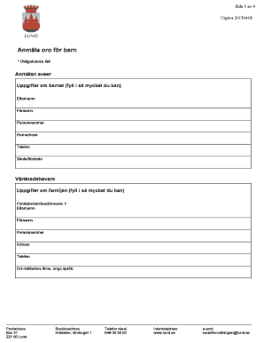 Child Protection Concern Report