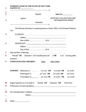 New York Child Support Information Sheet