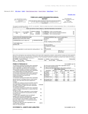 Form LM-2 Labor Organization Annual Report