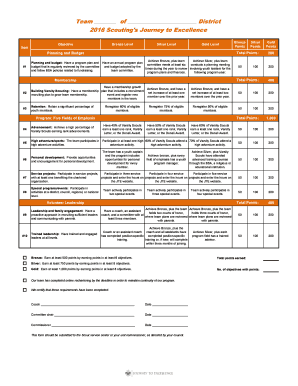 2016 Scouting's Journey to Excellence Team Form