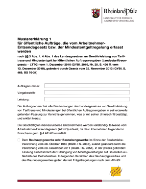 Mustererklärung 1