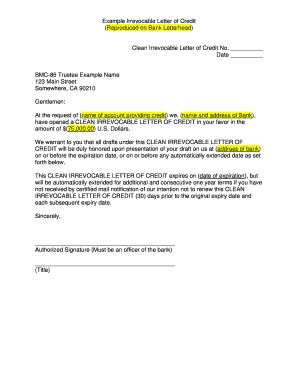 Clean Irrevocable Letter of Credit
