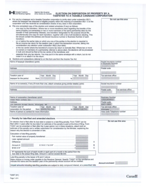 Canada Section 85 Election Form