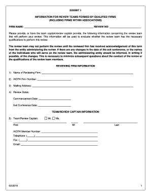AICPA Peer Review Team Information Form